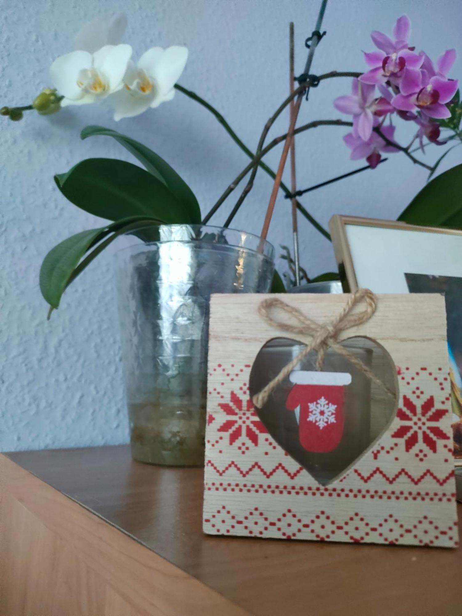 2 * Ostrowiec Swietokrzyski
